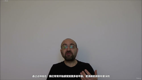 正念：重新发现临在、平静与平衡 (英文课程中文字幕)