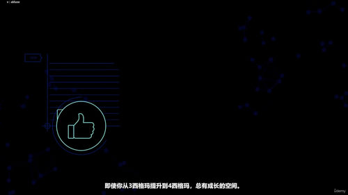精益六西格玛白带与黄带认证课程 (英文课程中文字幕)