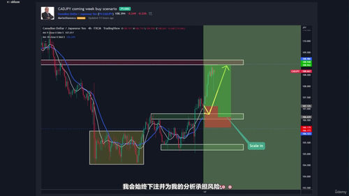 优化你的交易生涯：外汇·加密货币·大宗商品实战攻略 (英文课程中文字幕)