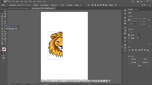 Adobe Illustrator 零基础入门课 (英文课程中文字幕)