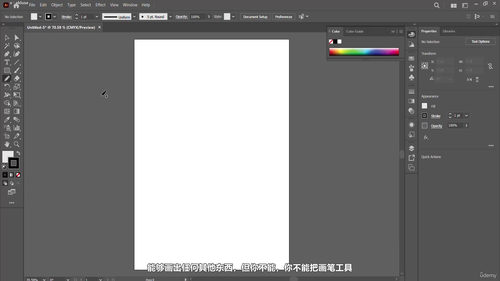 Adobe Illustrator 零基础入门课 (英文课程中文字幕)