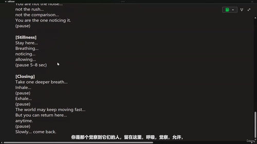 AI时代的人类判断力 (英文课程中文字幕)