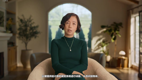 李飞飞博士的AI未来课:看见智能的另一面 (英文课程中文字幕)