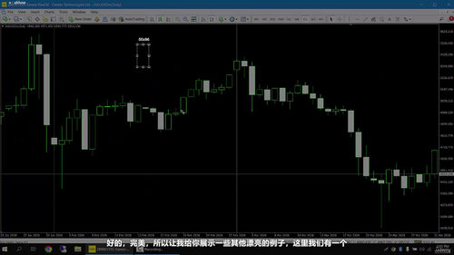 超级星期日黄金外汇交易策略——附赠自动化交易机器人 (英文课程中文字幕)
