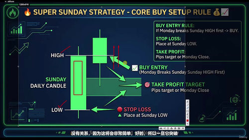 超级星期日黄金外汇交易策略——附赠自动化交易机器人 (英文课程中文字幕)