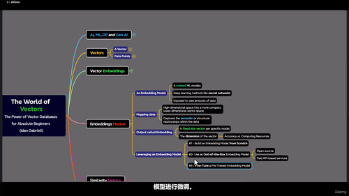向量数据库入门指南 (英文课程中文字幕)