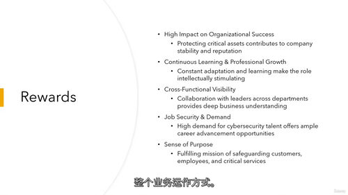 网络安全解决方案架构入门 101（中文字幕英文视频教程）