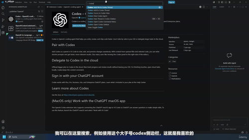 Codex完全精通班 (英文课程中文字幕)