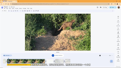 Google Vids视频编辑认证课程 (英文课程中文字幕)