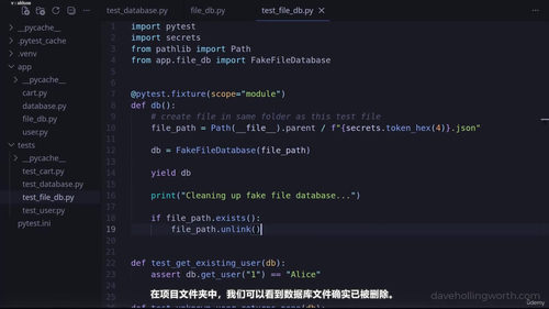 pytest现代Python测试实战 (英文课程中文字幕)