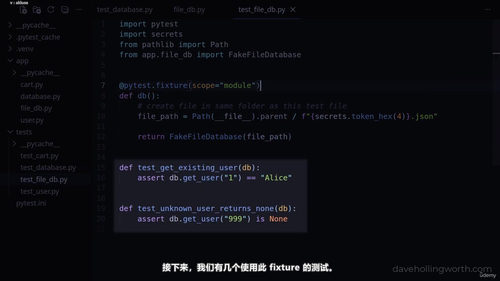 pytest现代Python测试实战 (英文课程中文字幕)