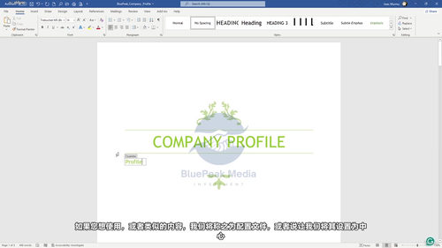 AI驱动的微软Office项目实战:用ChatGPT和Gemini让工作效率翻倍 (英文课程中文字幕)