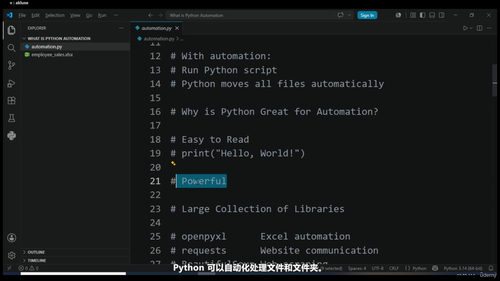 Python自动化实战：4个真实项目帮你省下大量时间 (英文课程中文字幕)