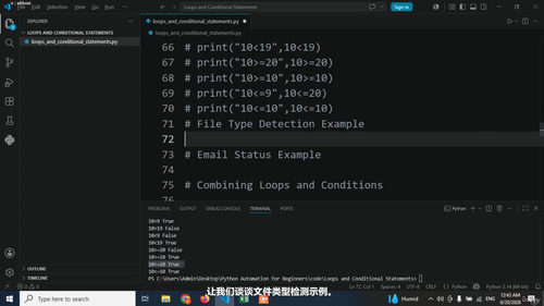 Python自动化实战：4个真实项目帮你省下大量时间 (英文课程中文字幕)