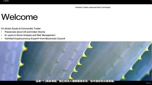 精准交易：华尔街操盘手的技术必修课 (英文课程中文字幕)