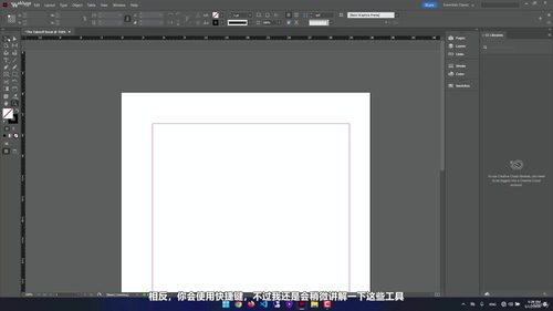 Adobe Photoshop、Illustrator、InDesign三合一设计大师课 (英文课程中文字幕)
