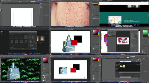 Adobe Photoshop、Illustrator、InDesign三合一设计大师课 (英文课程中文字幕)