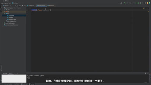 Java与Agentic AI编程入门 (英文课程中文字幕)