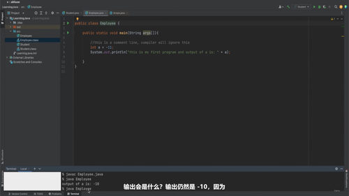 Java与Agentic AI编程入门 (英文课程中文字幕)
