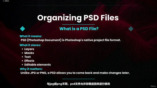 Photoshop零基础入门:从界面到实战的完整指南 (英文课程中文字幕)