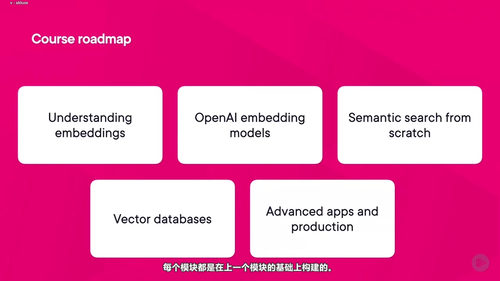 OpenAI嵌入向量应用与语义搜索实战 (英文课程中文字幕)