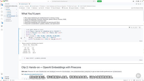 OpenAI嵌入向量应用与语义搜索实战 (英文课程中文字幕)