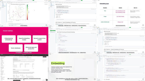 OpenAI嵌入向量应用与语义搜索实战 (英文课程中文字幕)