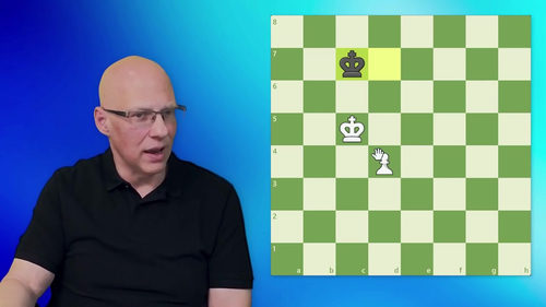 西尔曼的国际象棋战略全书 (英文课程中文字幕)