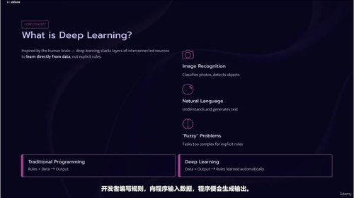 全栈AI工程师实战课程 (英文课程中文字幕)