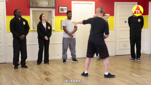 实用街头防卫：成年人必备的自卫技能课 (英文课程中文字幕)