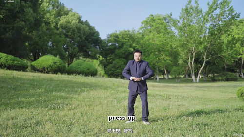 气功解锁:西方医学视角下的古老智慧 (英文课程中文字幕)