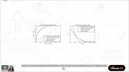 SAS认证专家精进之路：人工智能与机器学习实战全解析 (英文课程中文字幕)