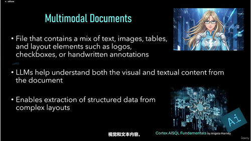 Snowflake Cortex AI SQL 基础实战课 (英文课程中文字幕)