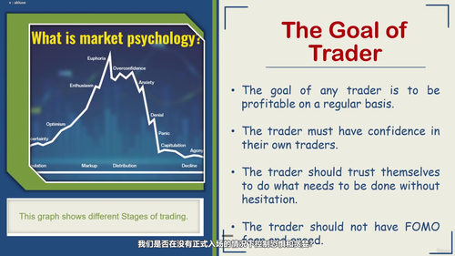 盈利交易的心理学 (英文课程中文字幕)