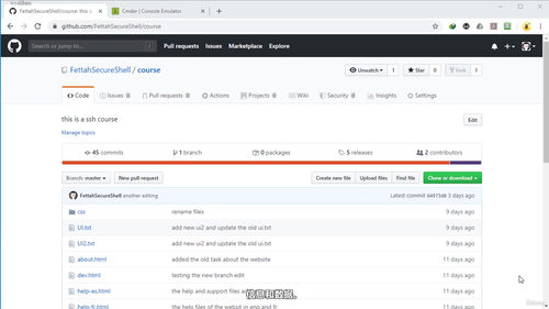 GitHub仓库管理实战课:从基础操作到安全配置 (英文课程中文字幕)