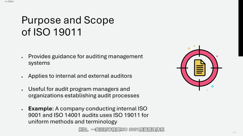 ISO 19011管理体系审核入门实战课 (英文课程中文字幕)