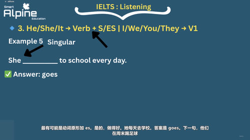 雅思学术7分备考课：考试通览与听力精讲 (英文课程中文字幕)