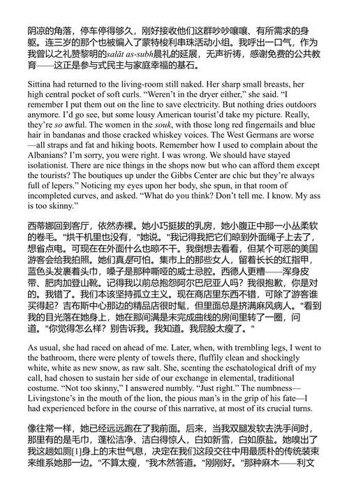 政变 约翰·厄普代克 (中英对照电子书)