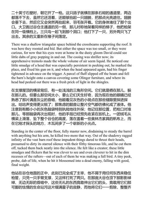 鸽羽毛 约翰·厄普代克 (中英对照电子书)