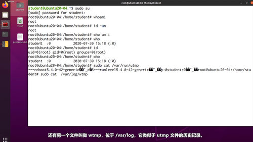Linux入门实战：从零开始掌握命令行 (英文课程中文字幕)