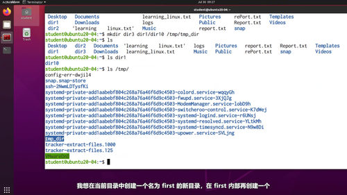 Linux入门实战：从零开始掌握命令行 (英文课程中文字幕)