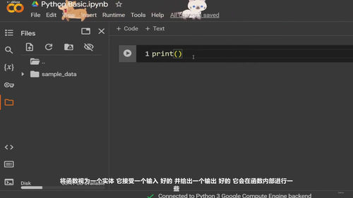 Python编程零基础入门：从第一个程序到循环逻辑 (英文课程中文字幕)