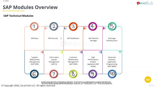 SAP入门到精通：系统掌握企业ERP核心知识 (英文课程中文字幕)