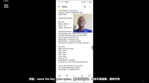 斯瓦希里语旅行速成：五十个必备短语带你畅游东非 (英文课程中文字幕)