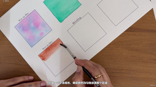水彩入门:从零开始掌握六种技法,画一幅海龟画 (英文课程中文字幕)