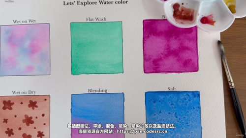 水彩入门:从零开始掌握六种技法,画一幅海龟画 (英文课程中文字幕)