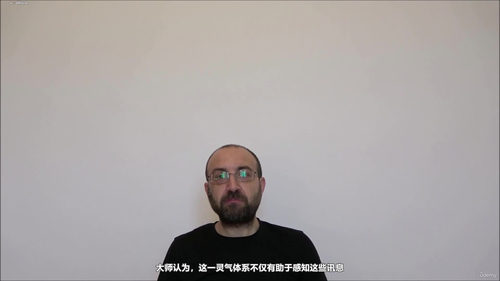 灵气双体系课程：开启直觉感知与讯息接收之门 (英文课程中文字幕)