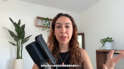项目管理速成：敏捷与瀑布双线打通 (英文课程中文字幕)
