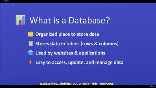 SQL零基础入门：从环境搭建到数据查询的完整路径 (英文课程中文字幕)