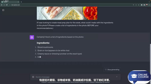 AI聊天机器人横评实战：ChatGPT、Gemini、Copilot、Claude谁更强 (英文课程中文字幕)